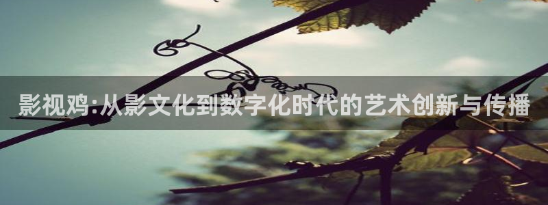 好看影院在线观看：影视鸡:从影文化到数字化时代的艺术创新与传播