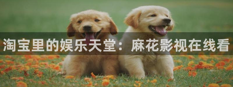 好看影院在线观看电影：淘宝里的娱乐天堂：麻花影视在线看
