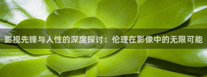 好看影院在线观看：影视先锋与人性的深度探讨：伦理在影像中的无限可能