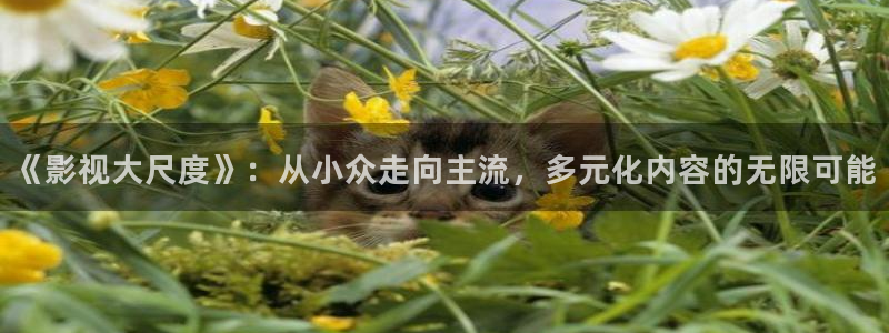 好看影院在线观看电影